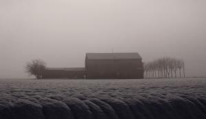 Scuola nebbia